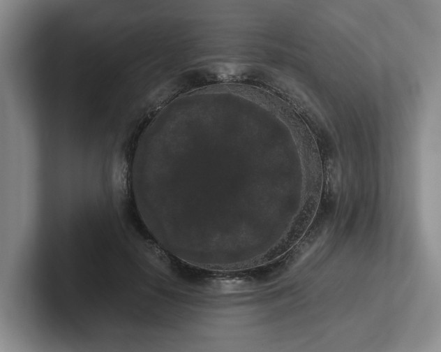 X0000102480650200808151451