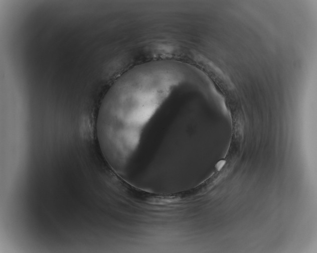 X0000102480661200808151451