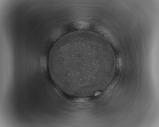 X0000102480664200808151451