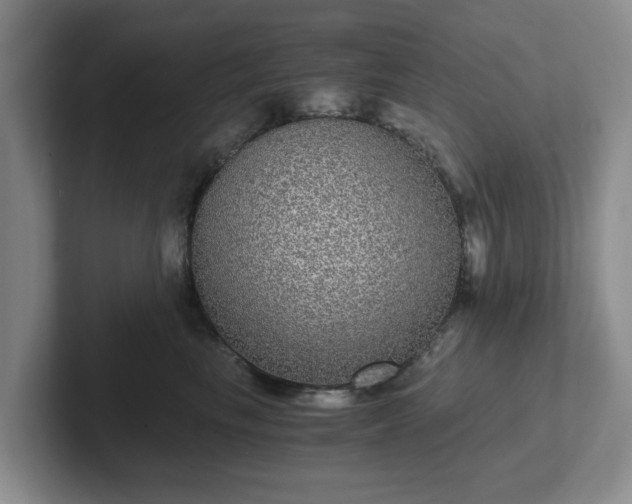 X0000102480665200808151451