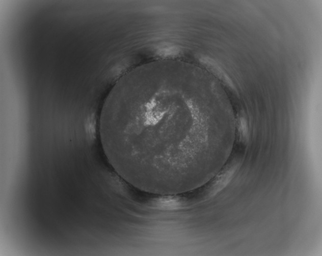 X0000102480668200808151451