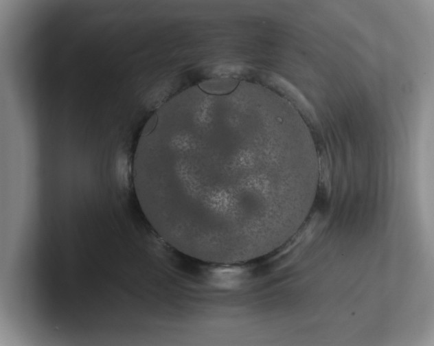 X0000102480669200808151451