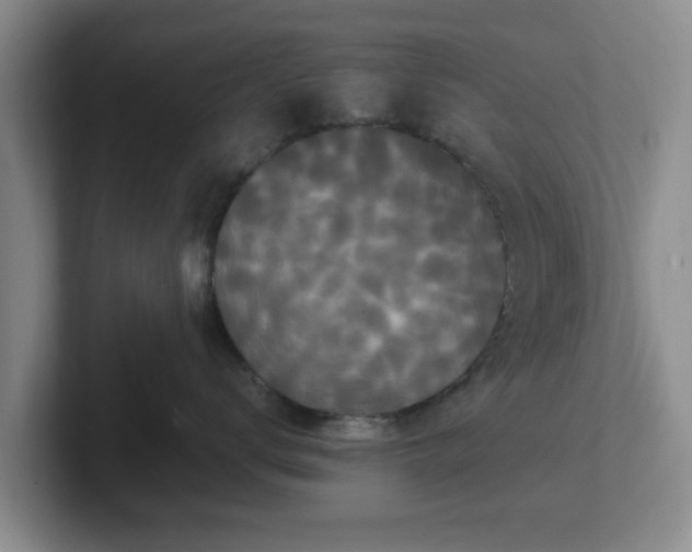 X0000102480672200808151451