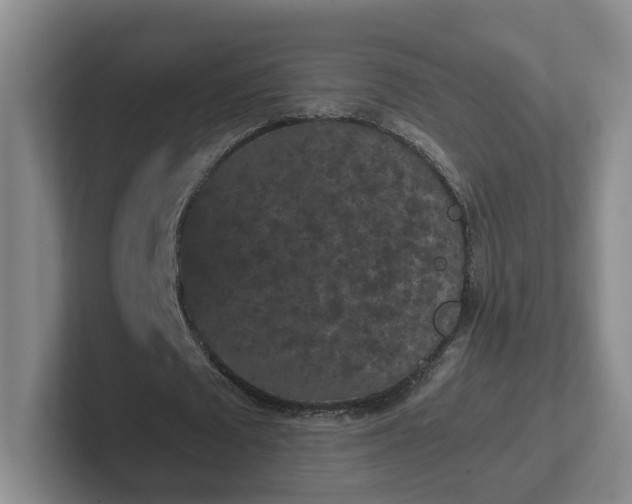 X0000102480673200808151450