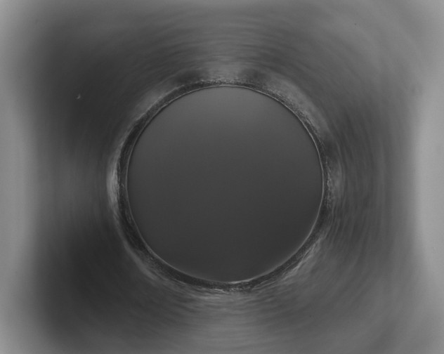 X0000102480674200808151450