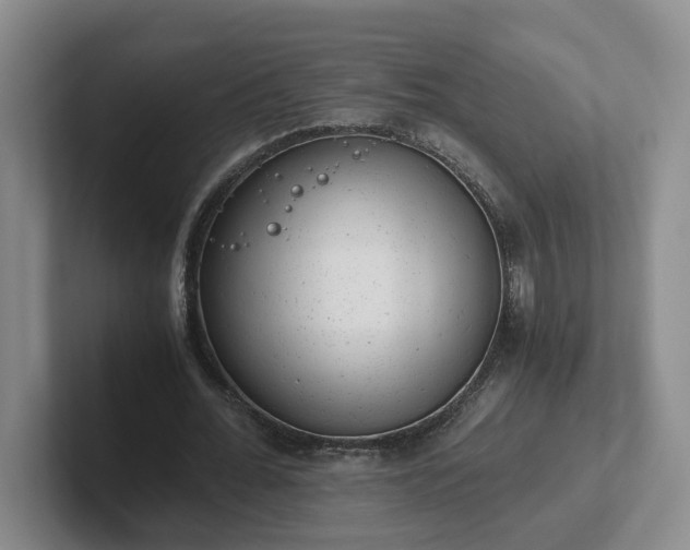 X0000102480676200808151450