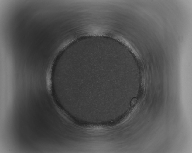 X0000102480677200808151450