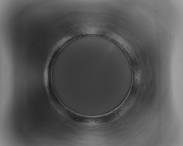 X0000102480678200808151450