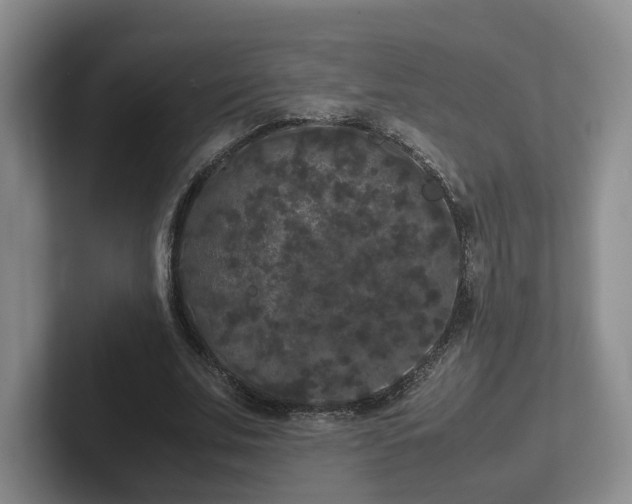 X0000102480679200808151450