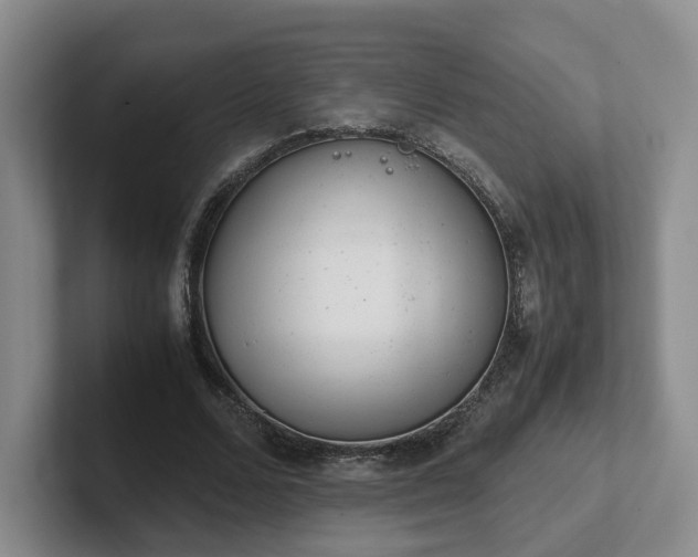 X0000102480680200808151450