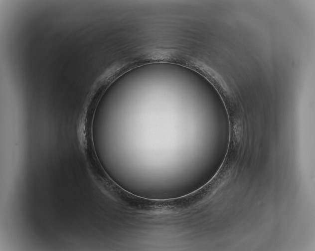 X0000102480682200808151450