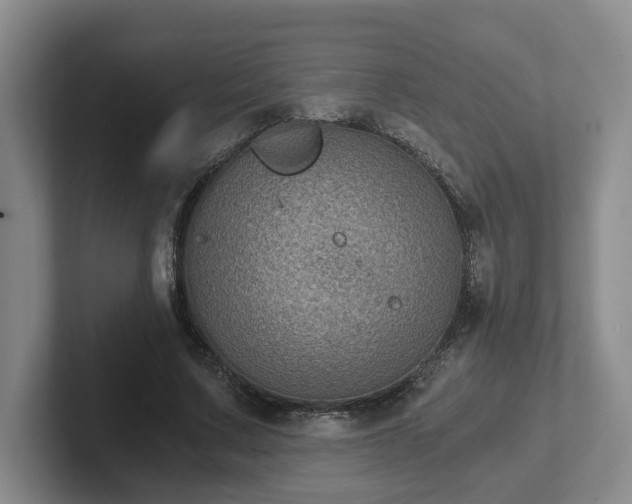 X0000102480683200808151450