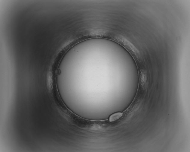 X0000102480684200808151450