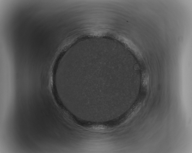 X0000102480685200808151450