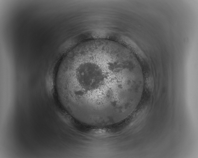 X0000102480687200808151450