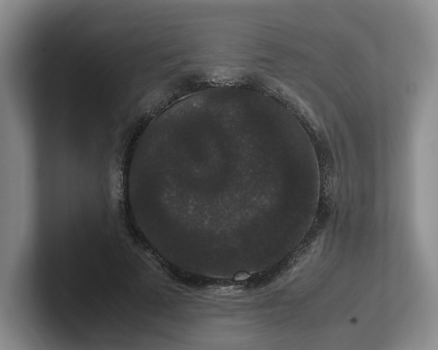 X0000102480689200808151450