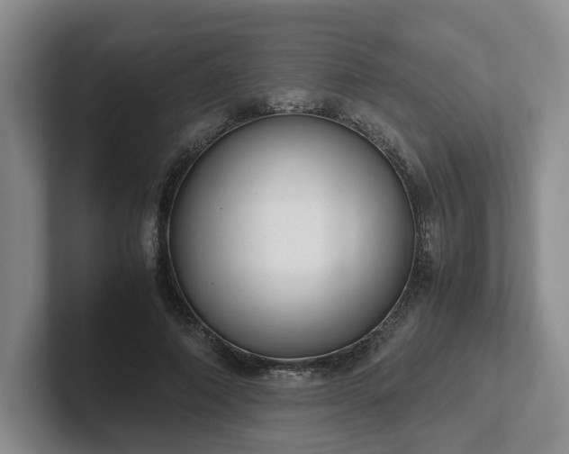 X0000102480690200808151450