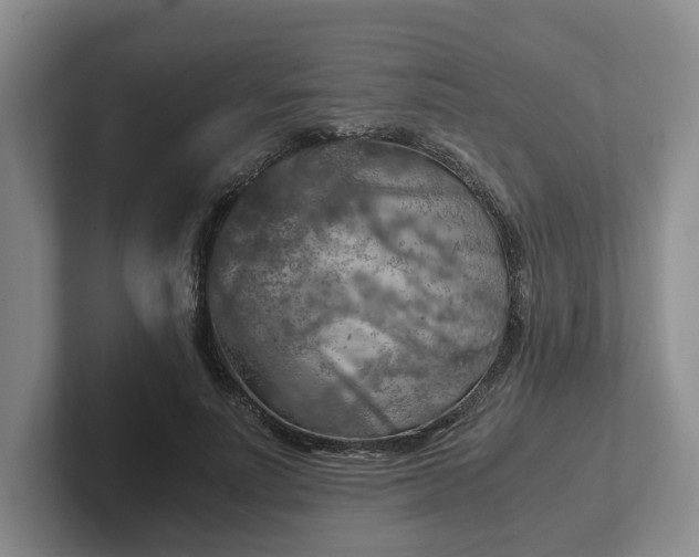 X0000102480691200808151450