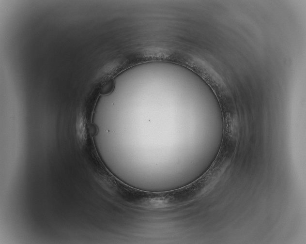 X0000102480692200808151450