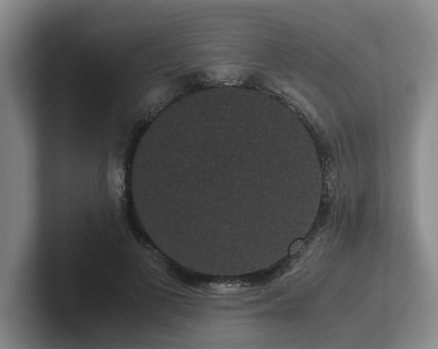 X0000102480693200808151450