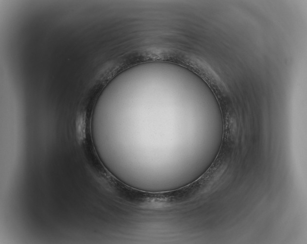 X0000102480694200808151450