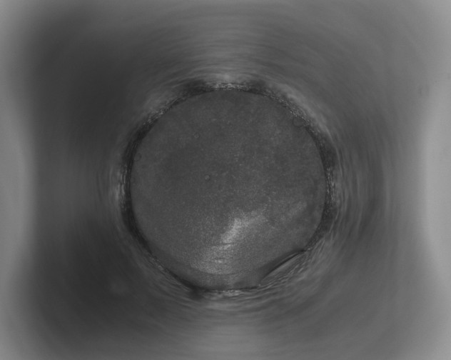 X0000102480695200808151450