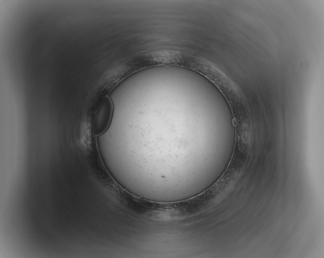 X0000102480696200808151450