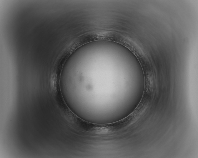 X0000102480698200808151450