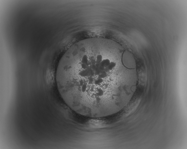 X0000102480699200808151450