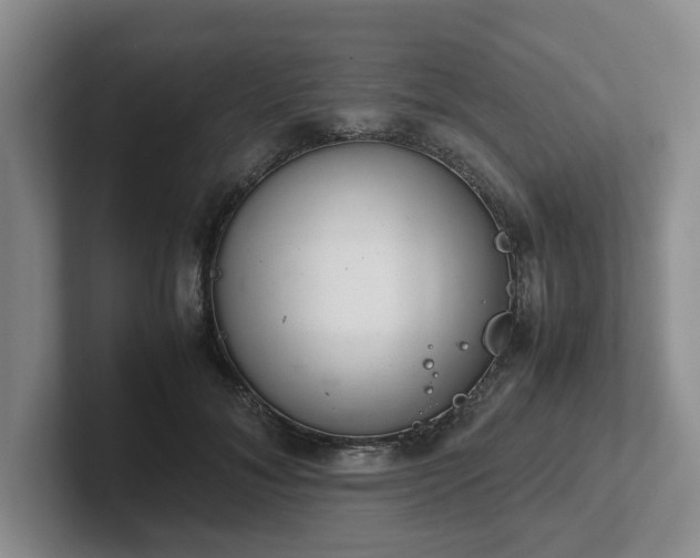 X0000102480700200808151450