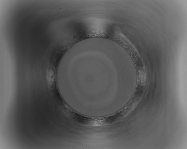 X0000102480701200808151450