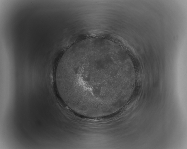 X0000102480703200808151450