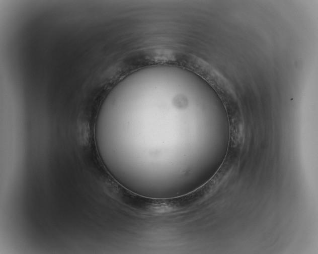 X0000102480704200808151450