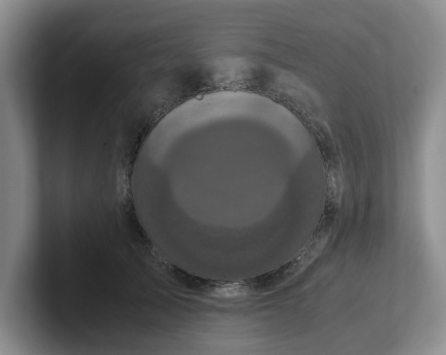 X0000102480705200808151450