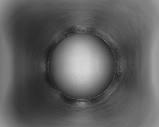 X0000102480706200808151450