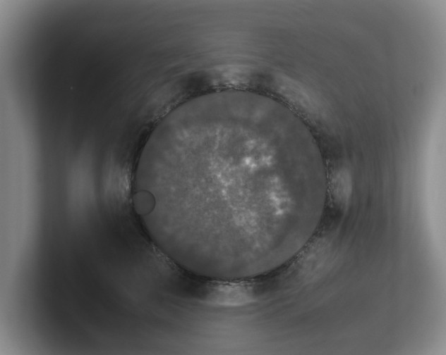 X0000102480709200808151450