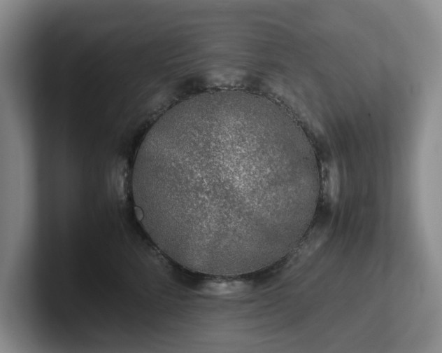 X0000102480712200808151450