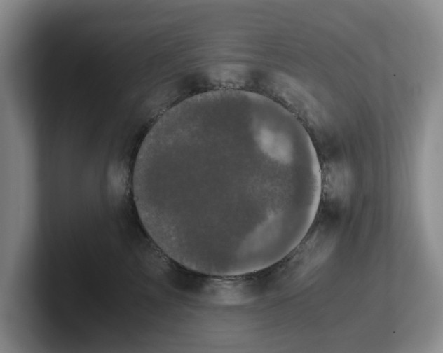 X0000102480713200808151450