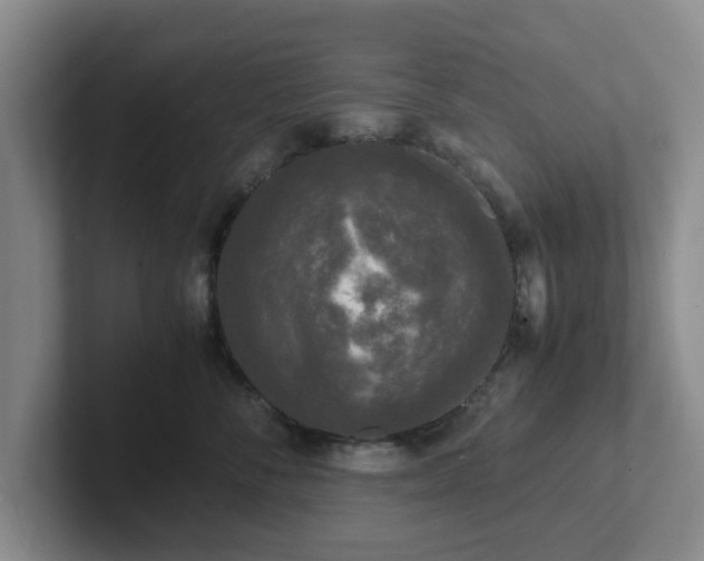 X0000102480716200808151450