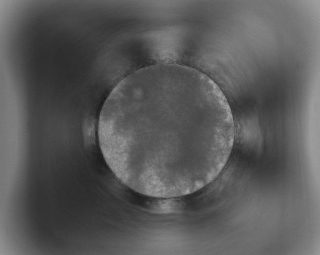 X0000102480717200808151450