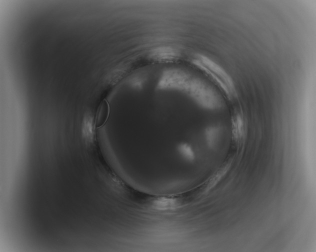 X0000102480718200808151450