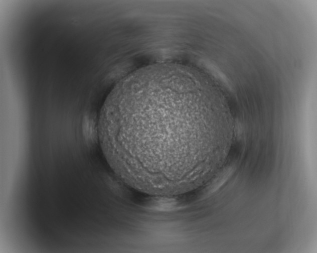 X0000102480719200808151450