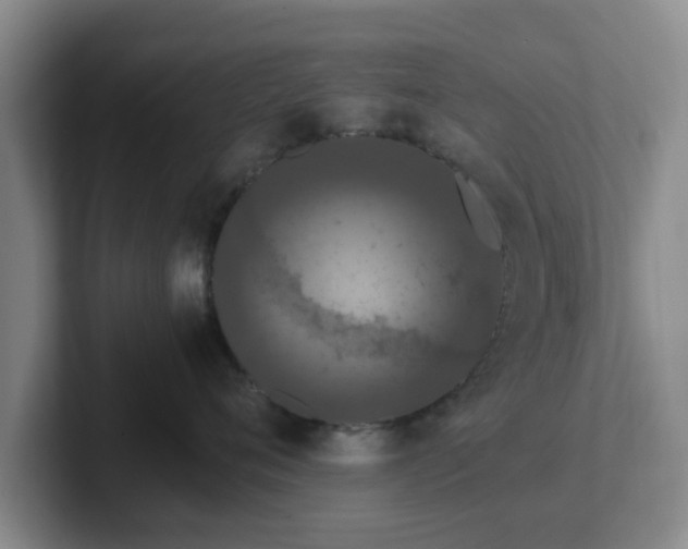 X0000102480720200808151450