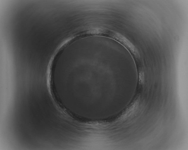 X0000102480724200808151449