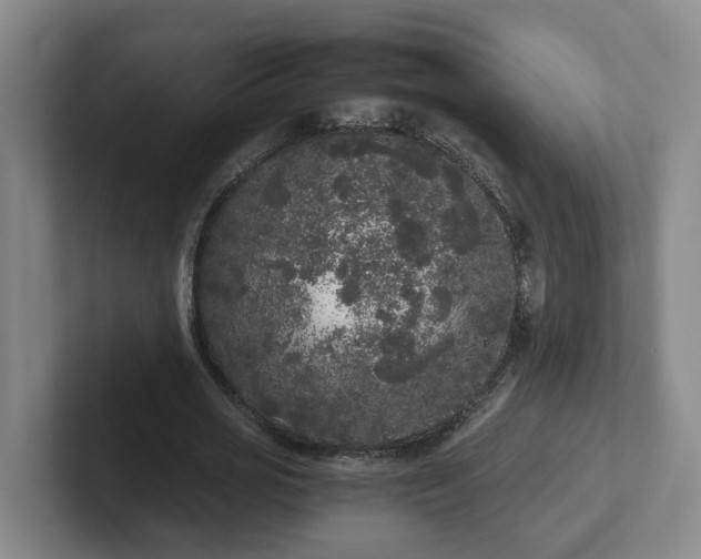 X0000102480725200808151449