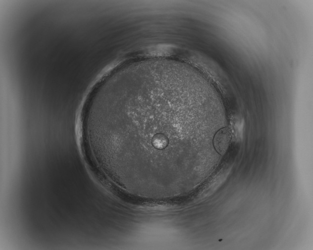 X0000102480726200808151449