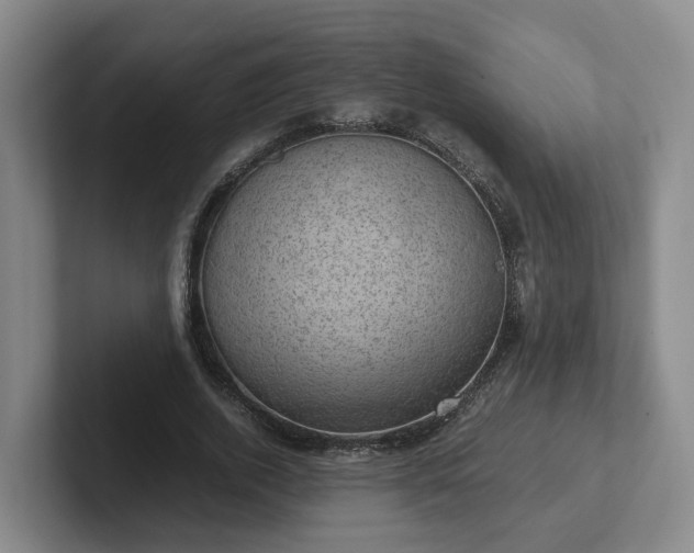 X0000102480728200808151449