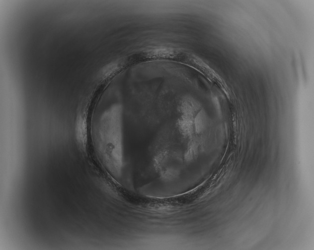 X0000102480729200808151449