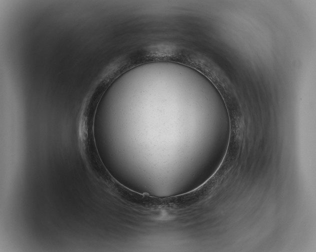 X0000102480731200808151449