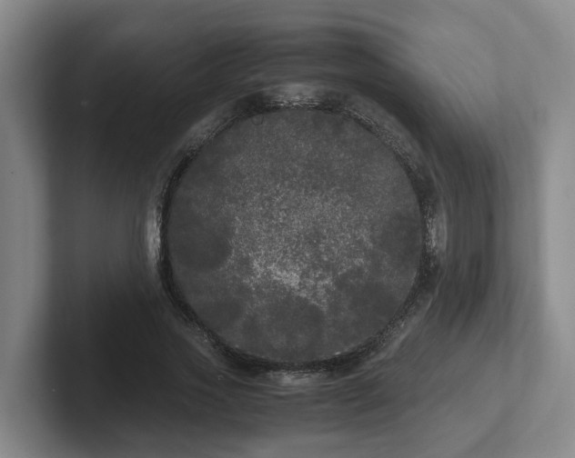 X0000102480733200808151449